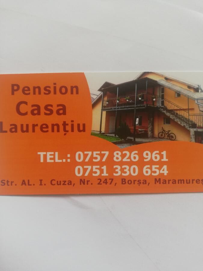 Гостевой дом Pension casa Laurențiu Borsa-5