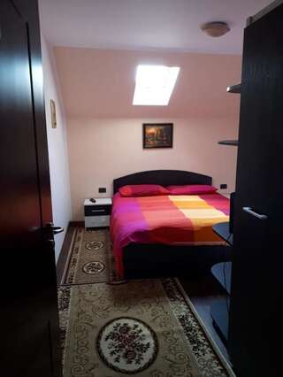 Гостевой дом Pension casa Laurențiu Borsa Двухместный номер с 1 кроватью и общей ванной комнатой-8